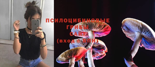 таблы Богородицк
