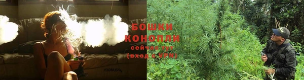 прущая мука Богданович