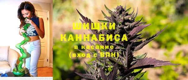 таблы Богородицк