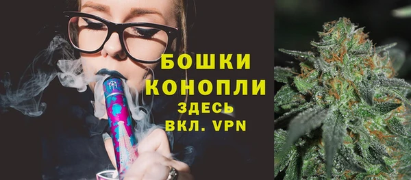 таблы Богородицк